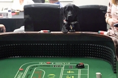 Everyone, even four legged friends, had a great time at Cutler Associates celebration!, 2019